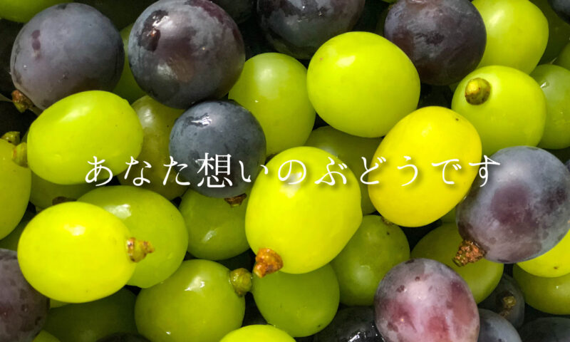 公式】戸塚ぶどう園 | 静岡県掛川市の減農薬栽培ぶどう狩り園。夏休み